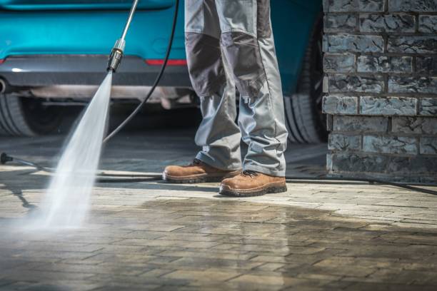 Best Pre-Holiday Cleaning  in Oberlin, OH