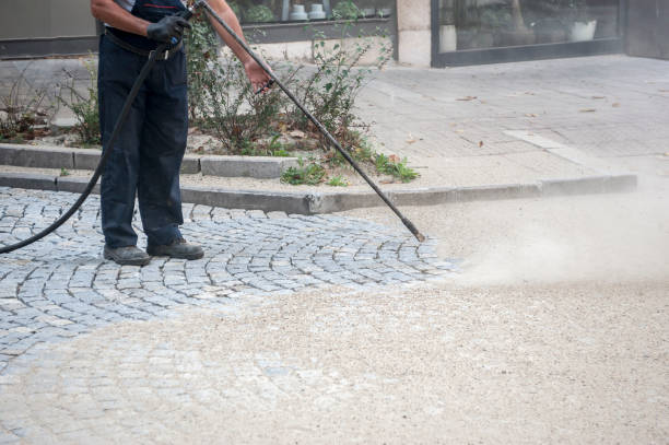 Animal Enclosure Cleaning in Oberlin, OH